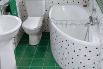 Caractéristiques de réparation dans les petites salles de bain combinées avec des toilettes
