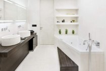 Design de salle de bain dans les tons blancs (24 photos)