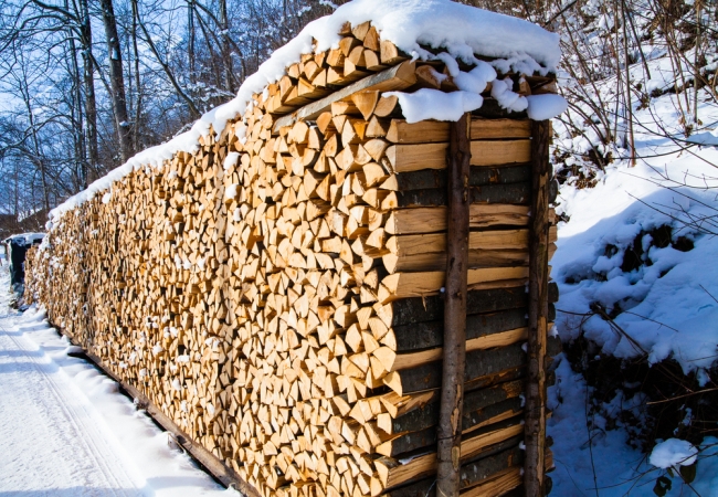 Briquettes ou pellets. Quoi de plus rentable à produire