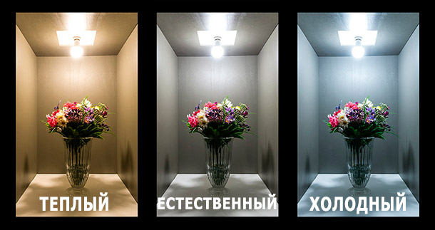 Les fleurs ont un aspect différent sous une lumière différente
