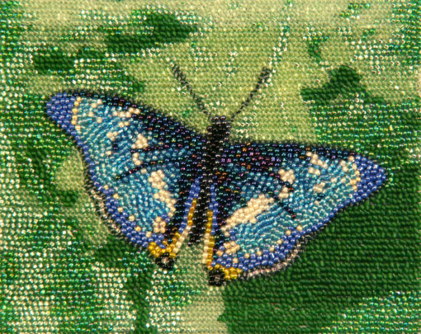 Papillon de perles sur colle