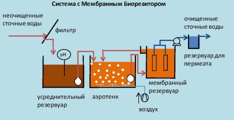 Quels sont les avantages de la méthode de traitement biologique des eaux usées