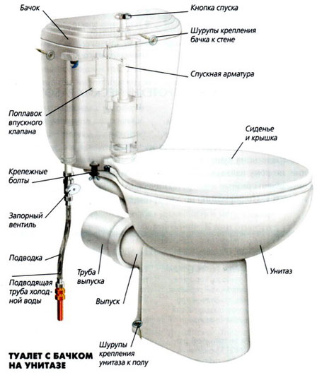 Comment utiliser la vidéo des toilettes