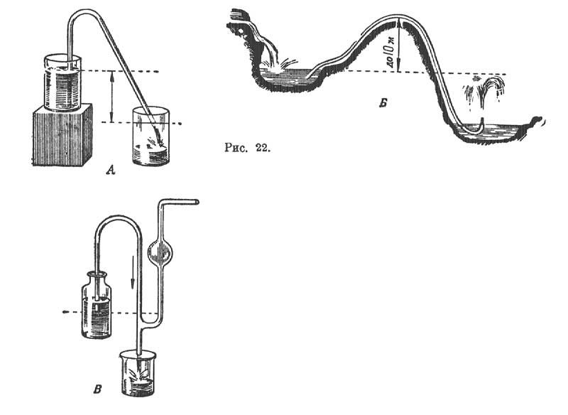 Expliquez la structure du siphon. Quels types de siphons connaissez-vous