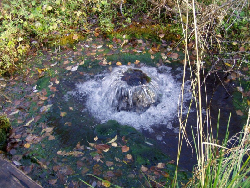 Guide sur la façon de déterminer la profondeur des eaux souterraines