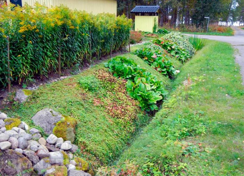 Comment épeler l'eau pompée hors d'une piscine