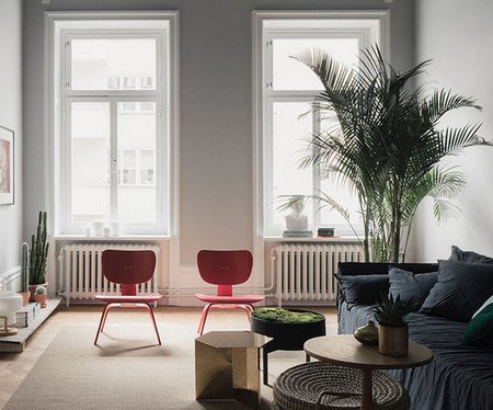 Comment peindre une salle de bain à l'intérieur à la maison en choisissant une peinture Photo et Vidéo