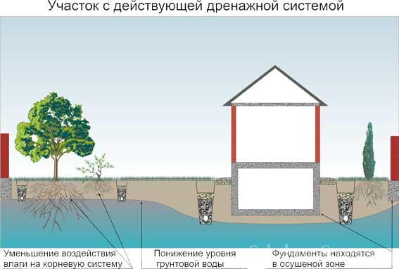 Guide sur la façon de déterminer la profondeur des eaux souterraines