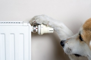 Que faire et où aller s'il fait froid dans votre appartement