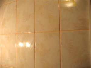 Carrelage dans la salle de bain. Comment mettre à jour les coutures dans la salle de bain