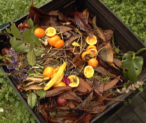 Fosse à compost à faire soi-même dans leur chalet d'été