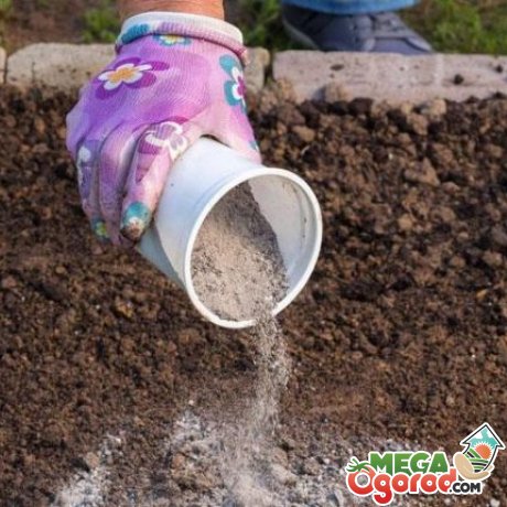 Cosses de tournesol comme propriétés et application d'engrais