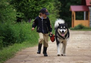 Les voisins ont un chien qui hurle 24 heures sur 24. Que faire